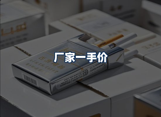 专业团队办公环境